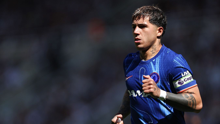 Энцо Фернандес («Челси»)