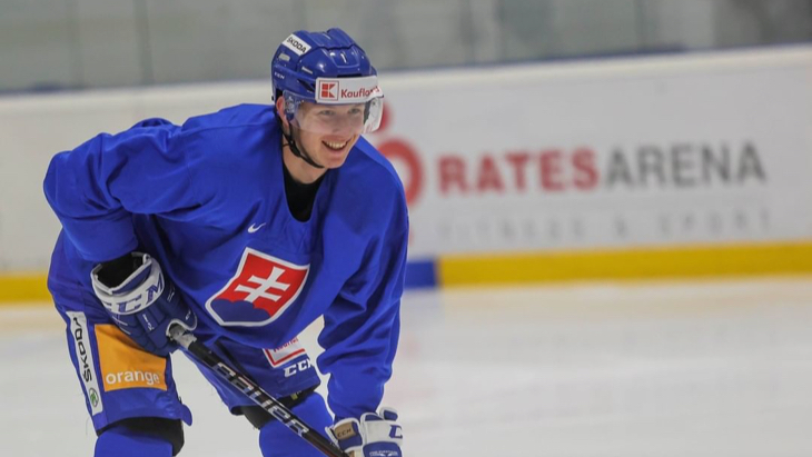 Подготовка сборной Словакии к МЧМ