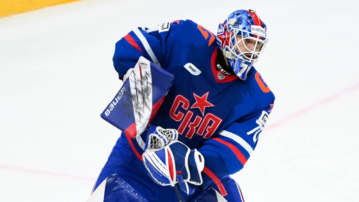 Дмитрий Николаев