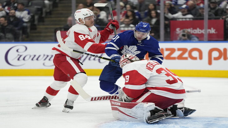 detroitredwings