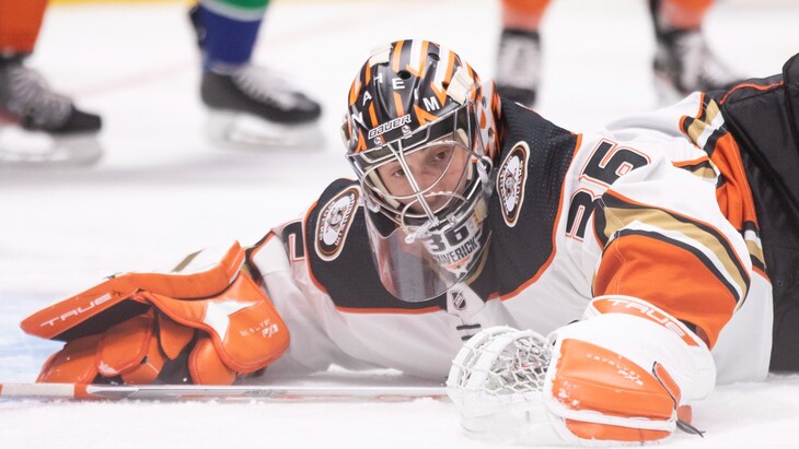 anaheimducks