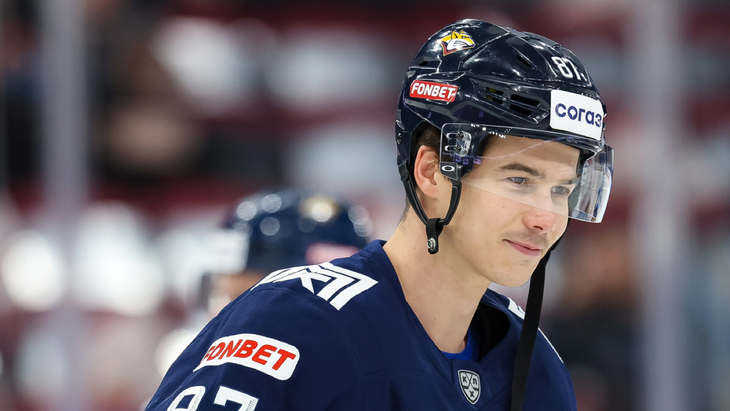 Николай Голдобин