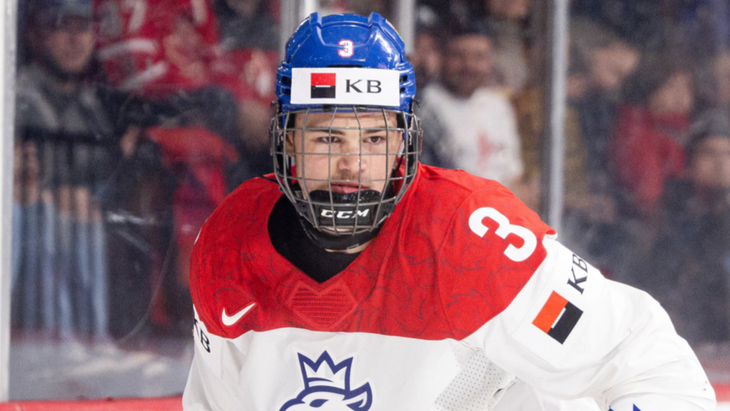 Давид Шпачек