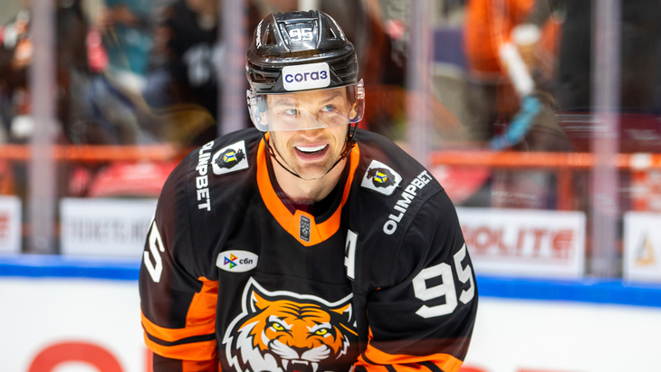 Дмитрий Шевченко