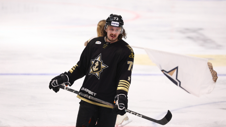 Либор Шулак