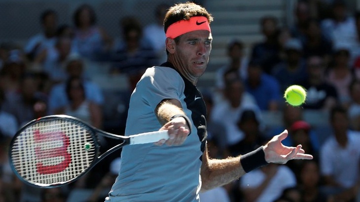 Хуан Мартин Дель Потро