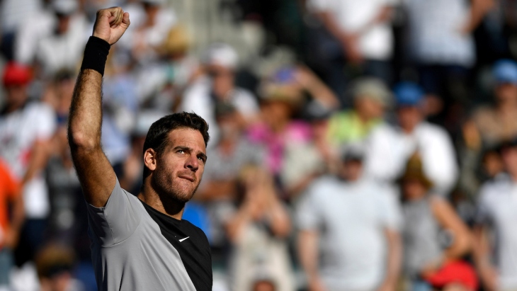 Хуан Мартин Дель Потро