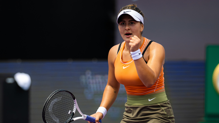 Бьянка Андрееску