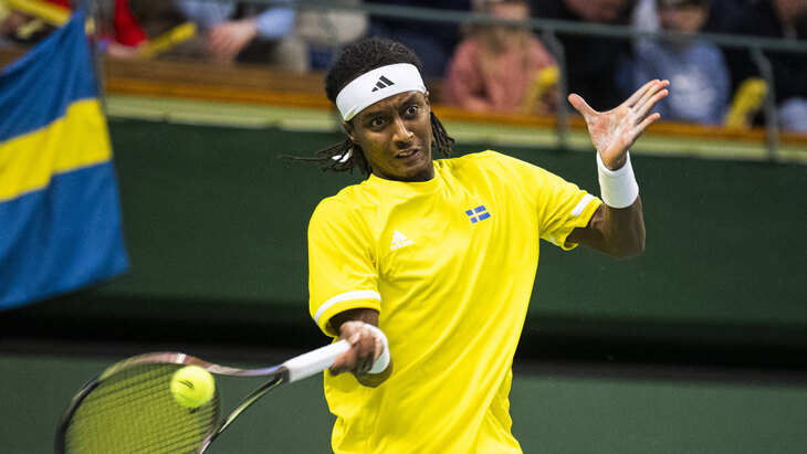 Микаэль Имер