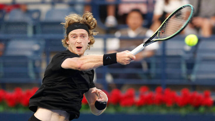 Прогноз и ставки на Ван де Зандшульп — Рублев