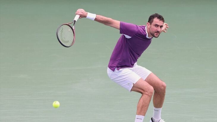 Марин Чилич