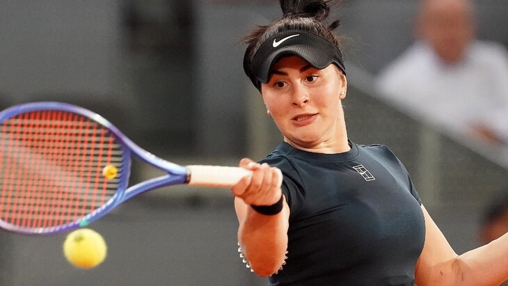 Бьянка Андрееску