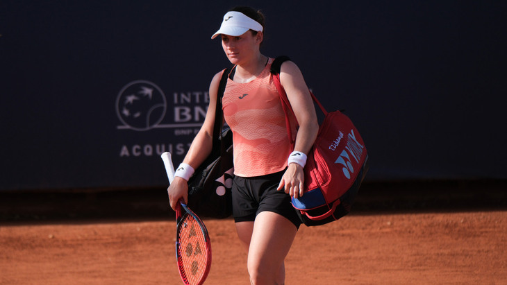 Прогноз и ставки на Амброзио — Зиданшек