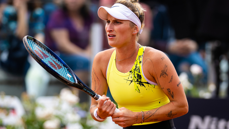 Прогноз и ставки на Вондроушова — Эала Прогноз и ставки на Вондроушова — Эала